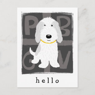 Carte Postale PBGV gris et blanc