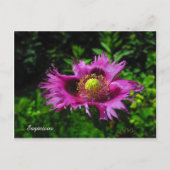 Carte Postale PC de taille (Devant)