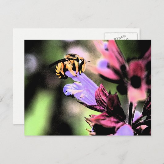 Carte Postale Pcna abeille et fleur (Devant / Derrière)