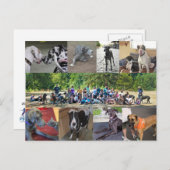 Carte postale PDXDanes (Devant / Derrière)