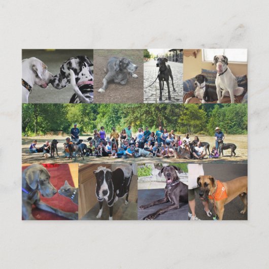 Carte postale PDXDanes (Devant)