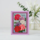 Carte Postale Pea Plante Vintage Seed Packet Art (Debout devant)