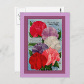 Carte Postale Pea Plante Vintage Seed Packet Art (Devant / Derrière)