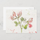 Carte Postale Pea watercolor (Devant / Derrière)