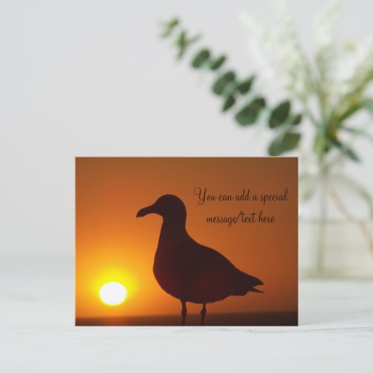 Carte postale Peace_ (Debout devant)