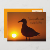 Carte postale Peace_ (Devant / Derrière)