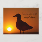 Carte postale Peace_ (Devant)