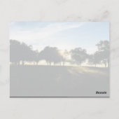 Carte Postale Peace Be Still Oh My Soul Citation Inspirative (Dos)