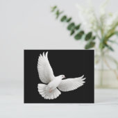 Carte postale Peace Dove (Debout devant)