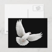 Carte postale Peace Dove (Devant / Derrière)