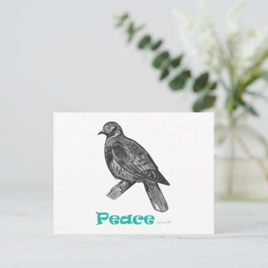 Carte postale Peace Dove (Debout devant)