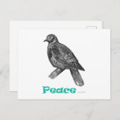 Carte postale Peace Dove (Devant / Derrière)