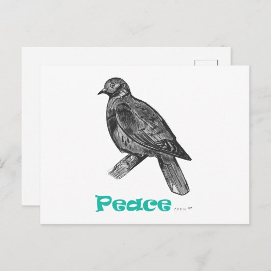 Carte postale Peace Dove (Devant / Derrière)