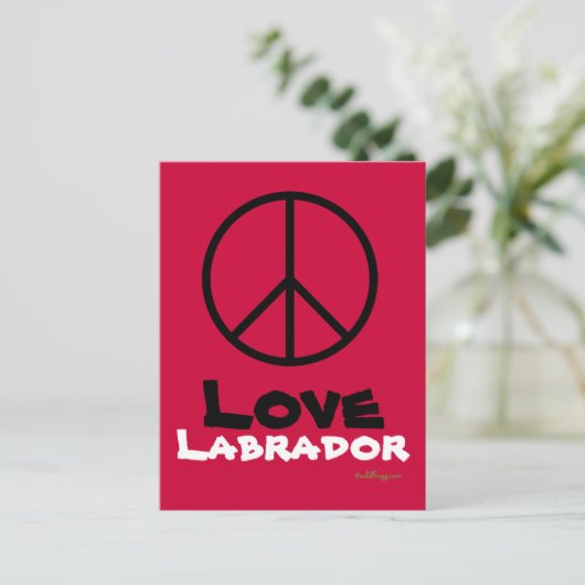 Carte postale Peace Love Labrador (Debout devant)