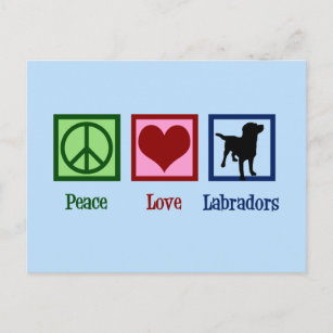 Carte Postale Peace Love Labradors Cute Labrador Retriever