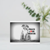 Carte Postale Peace Love Secourt Chien (Debout devant)