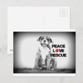 Carte Postale Peace Love Secourt Chien (Devant / Derrière)
