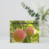 Carte Postale Peach classique sur arbre Texte amusant (Debout devant)