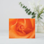 Carte Postale Peach Orange Rose (Debout devant)
