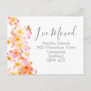 Carte Postale Peach Rose Blush Fleur sauvage J'ai Déplacé la car