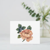 Carte Postale Peach Rose - Vintage Makeover. (Debout devant)