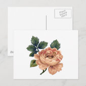 Carte Postale Peach Rose - Vintage Makeover. (Devant / Derrière)
