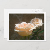 Carte Postale Peach Roses (Devant / Derrière)