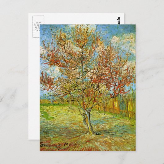 Carte Postale Peach Tree rose en fleurs par Vincent van Gogh (Devant / Derrière)