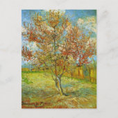 Carte Postale Peach Tree rose en fleurs par Vincent van Gogh (Devant)