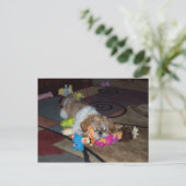Carte Postale PEACHE Le mignon Chih Tzu (Debout devant)