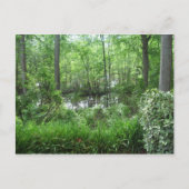 CARTE POSTALE "PEACHTREE CITY, GA" (Devant)