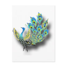 Peacock