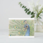 Carte postale Peacock (Debout devant)