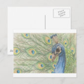 Carte postale Peacock (Devant / Derrière)