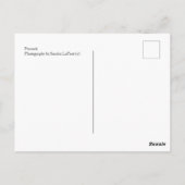 Carte postale Peacock (Dos)