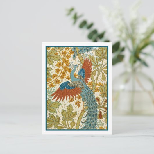 Carte postale - Peacock (Debout devant)