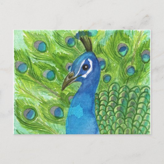Carte postale Peacock (Devant)