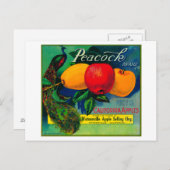 Carte Postale Peacock Apple Crate LabelWatsonville, CA (Devant / Derrière)