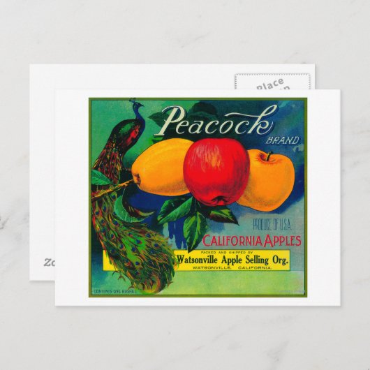 Carte Postale Peacock Apple Crate LabelWatsonville, CA (Devant / Derrière)
