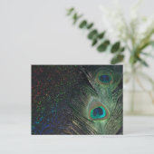 Carte Postale Peacock arc-en-ciel noir (Debout devant)