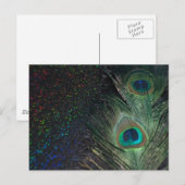 Carte Postale Peacock arc-en-ciel noir (Devant / Derrière)