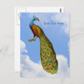 Carte postale Peacock Art Bird (Devant / Derrière)
