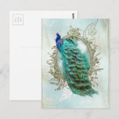 Carte Postale peacock beautiful turquoise vintage shabby bird (Devant / Derrière)