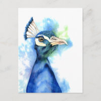 Peacock Bird Aquarelle Art
