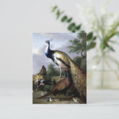 Carte Postale Peacock Bird Peinture de famille (Debout devant)