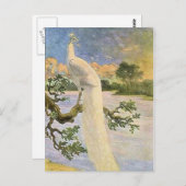 Carte Postale Peacock blanc (Devant / Derrière)