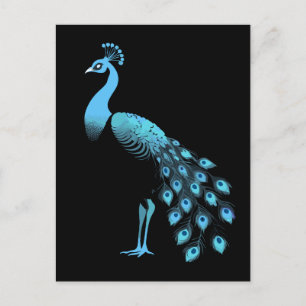 Carte Postale Peacock bleu