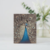 Carte Postale Peacock bleu antique (Debout devant)