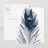 Carte postale Peacock bleu foncé (Devant / Derrière)