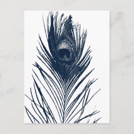 Carte postale Peacock bleu foncé (Devant)